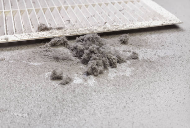 Best Affordable Air Duct Cleaning  in Brooksville, MS
