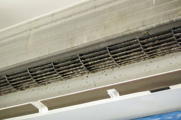 Best Emergency Air Duct Cleaning  in Brooksville, MS